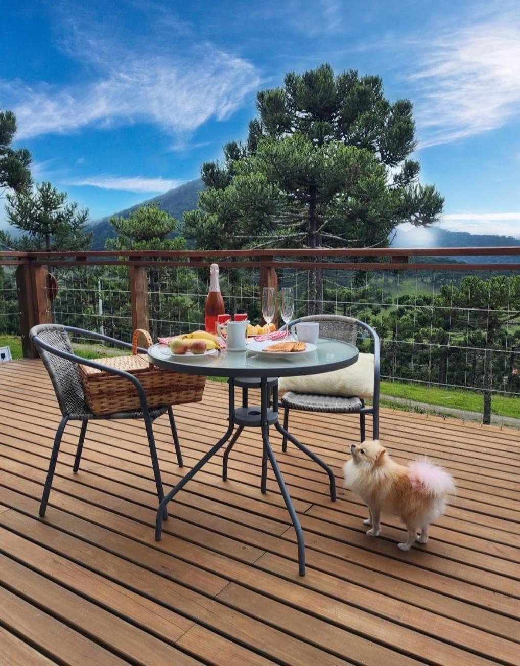 Altitude Maxima - Cabanas De Altitude Урубиси Екстериор снимка